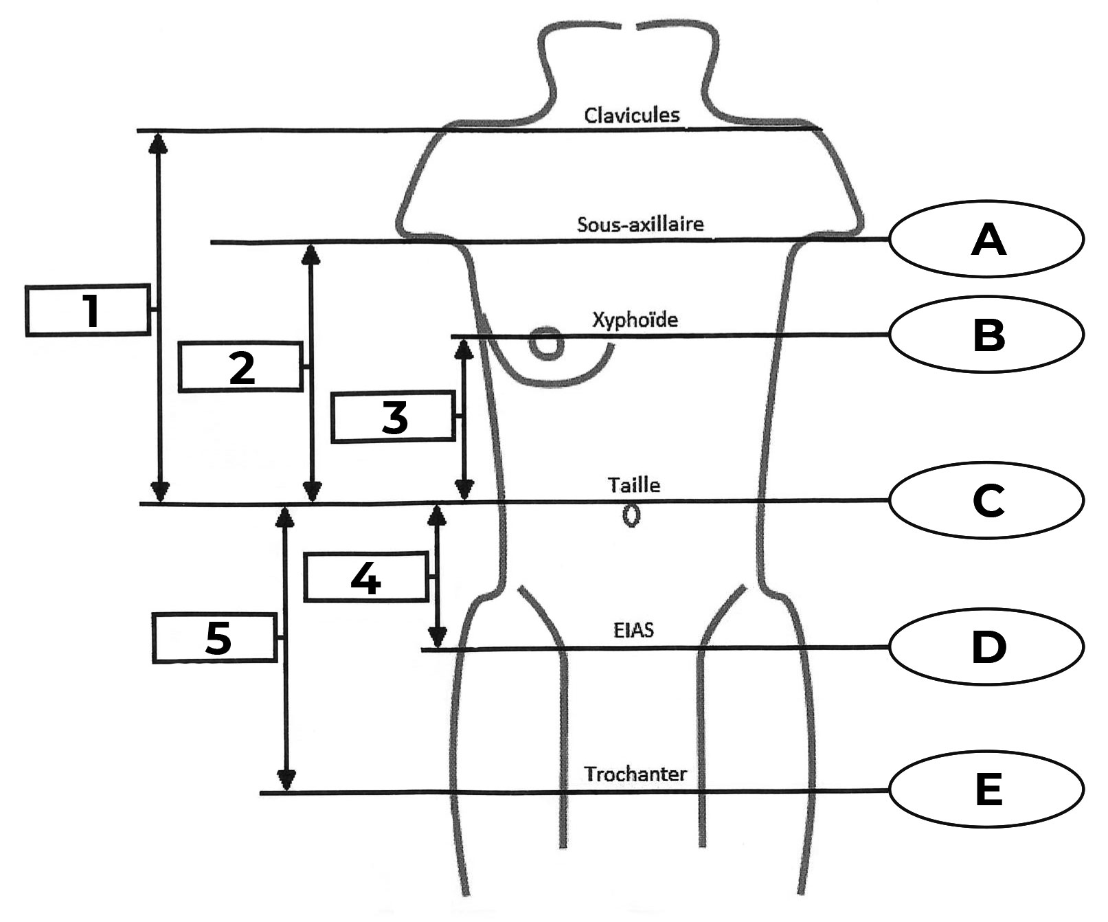Données de mesure du corset