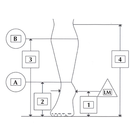 Données de mesure orthèse KAFO