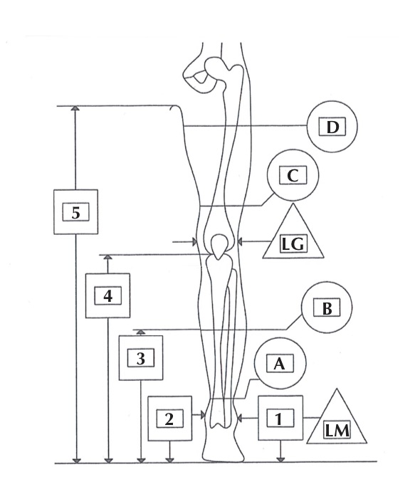 Données de mesure orthèse KAFO