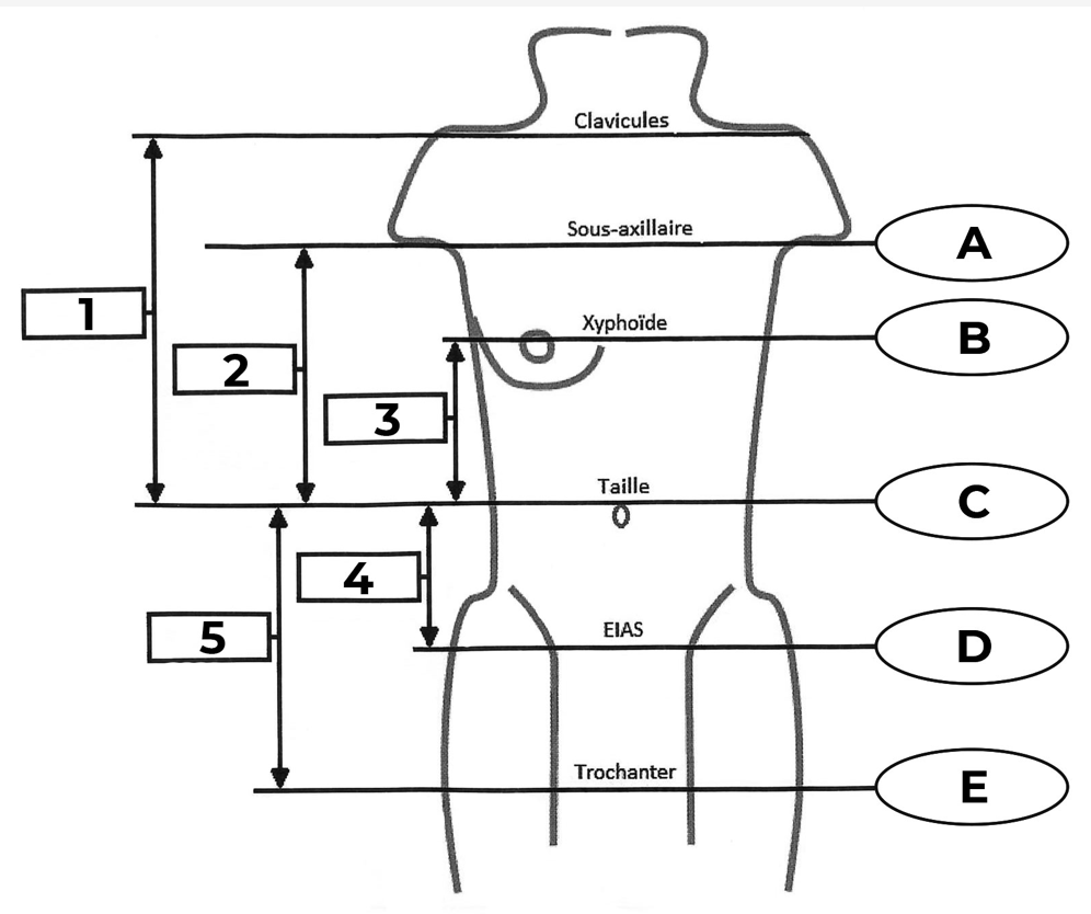 Données de mesure du corset